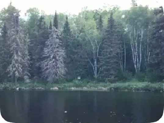 Buy Lakefront Acres in Red Lake Ontario with Private Access