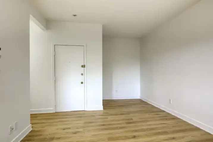 renovated one bedroom apart near McGill available now - ID 3610