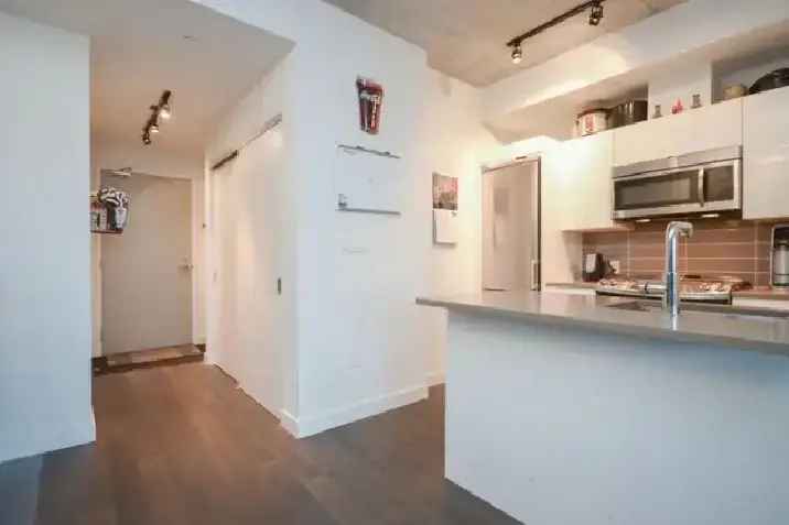 Beautiful 1 bedroom apartment in downtown Ottawa