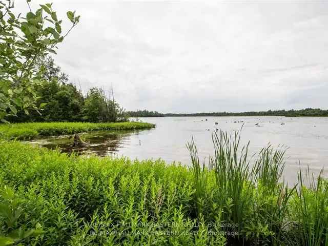 Affordable Waterfront Lot Omemee Pond Great Fishing Quiet Location