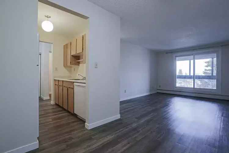 Apartment For Rent in Edmonton, Alberta