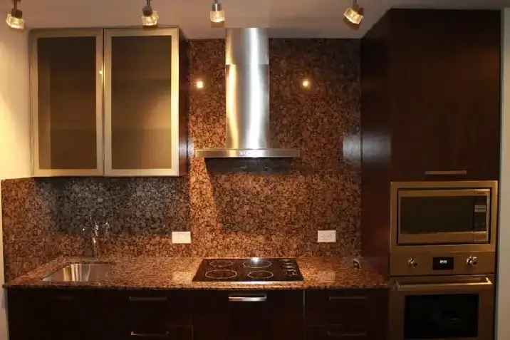 Luxury Ice Condo  In Heart of Downtown For Rent