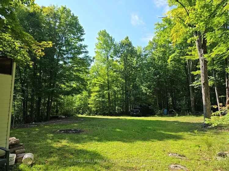 1.29 Acre Building Lot with Well Hydro and Sheds Near Havelock