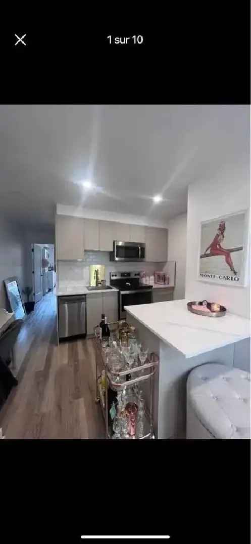 3 1 2 Apartment for Rent Lease Transfer Plateau Mont Royal