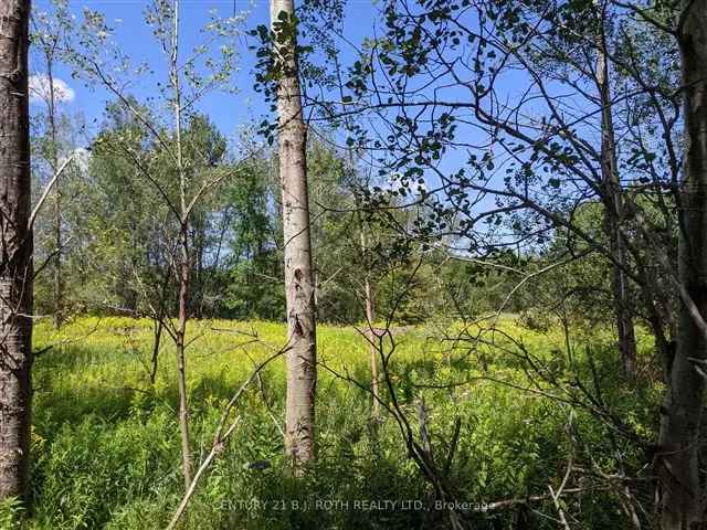 Land For Sale in Springwater, Ontario