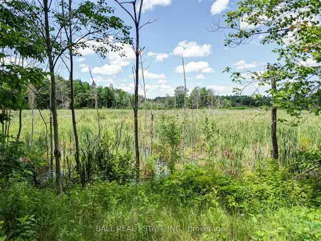 2-Bedroom Bungalow on 3 Acres Near Bancroft