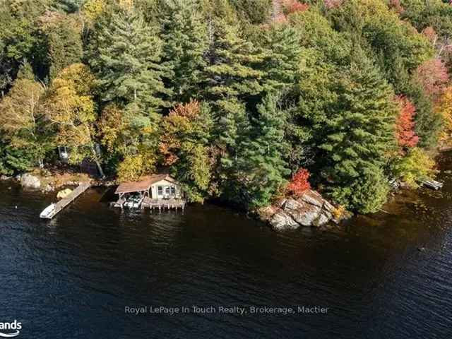 Healey Lake Waterfront Cottage - Sandy Beach, Private Point, 3 Bedrooms