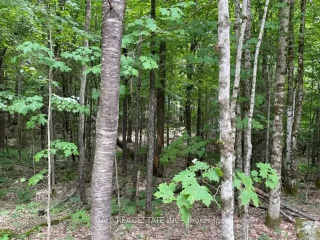 Private 1-Acre Lot near Haliburton - Build Your Dream Home