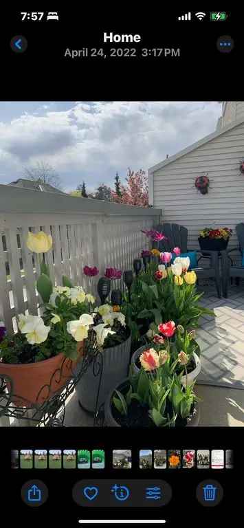 3 Bedroom Townhome with Updated Ensuite and Landscaped Backyard