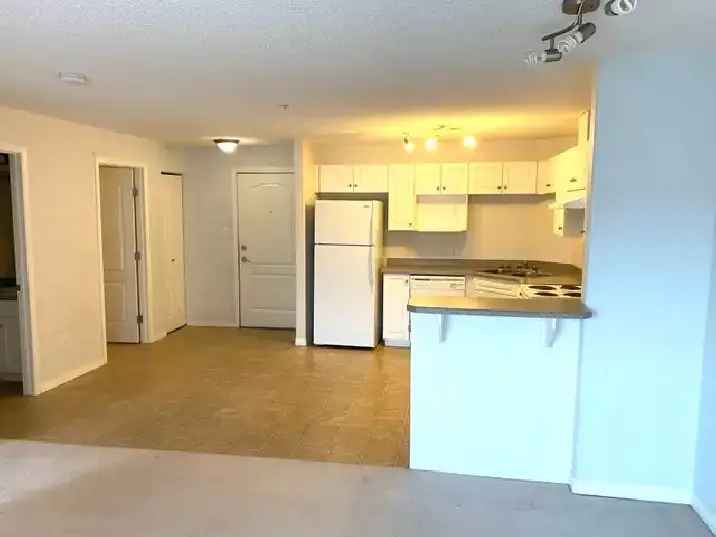 Open Concept 1 Bedroom Condo-Edm NE