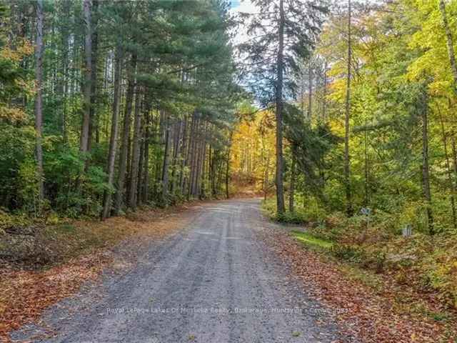 Muskoka Acreage Lakefront Building Lot