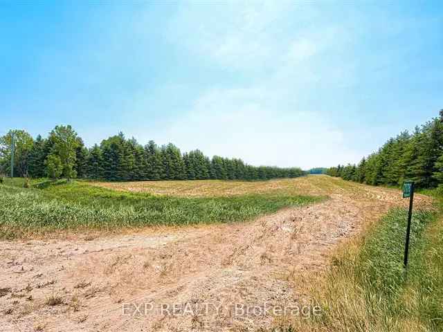 13 Acres Farmland for Sale Near Arthur and Fergus