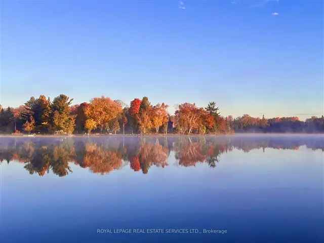 Amazing 4 Season Cottage Waterfront Trent Severn Waterway