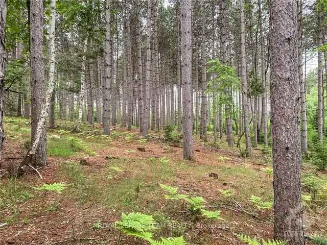 30 Acre Red Pine Forest Haven with Rolling Hills and Ponds