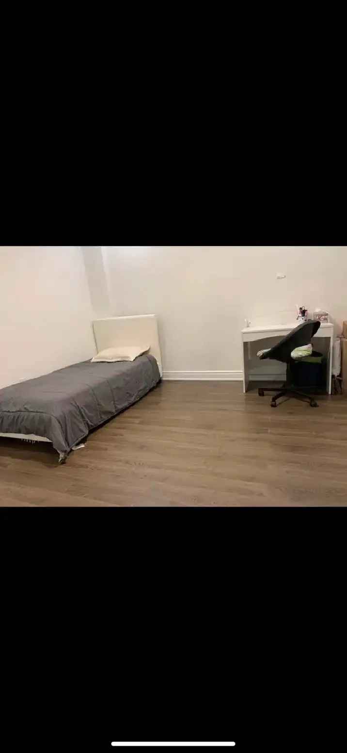 Room For Rent Near Uoft / centennial college