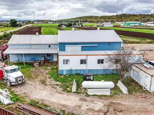 Holland Marsh Commercial Property 10 Acres Farming Business Opportunity