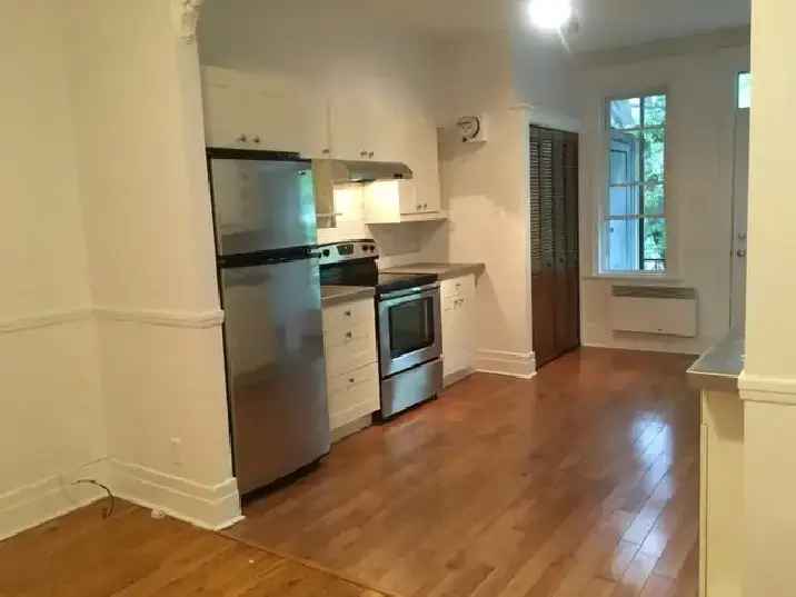 Plateau Mont Royal Renovated 4 1/2 Apartment