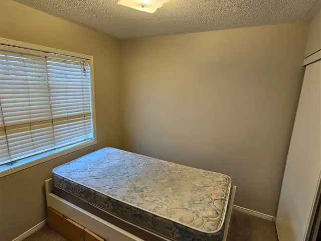 House For Rent in Brampton, Ontario