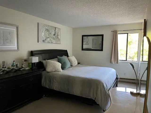 Brookside 2 Bed 1 Bath Apartment Near Lougheed Skytrain