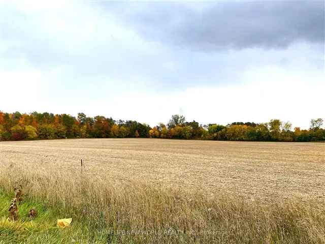 10+ Acres Residential Development Land in Stouffville