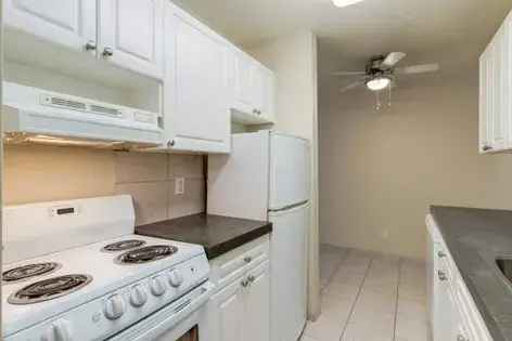 Rent 2 Rooms Apartment in Calgary with Modern Features and Amenities