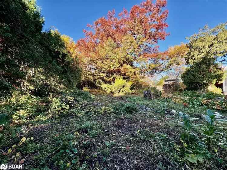 Bronte Waterfront Lots - Farmhouse & Vacant Land Available