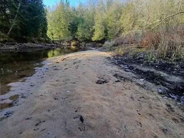 60 Acres Crowe Riverfront Land - Build Your Dream Home