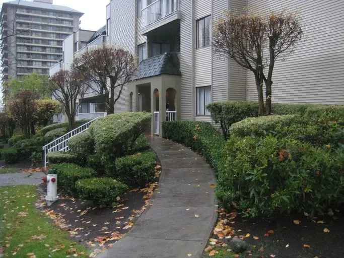 Rent 1 Bedroom Apartment in Burnaby with Spacious Suites and Parking