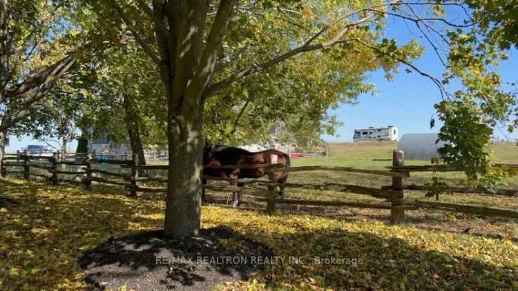 House For Sale in 3941, Mountjoy Road, Scugog, Ontario