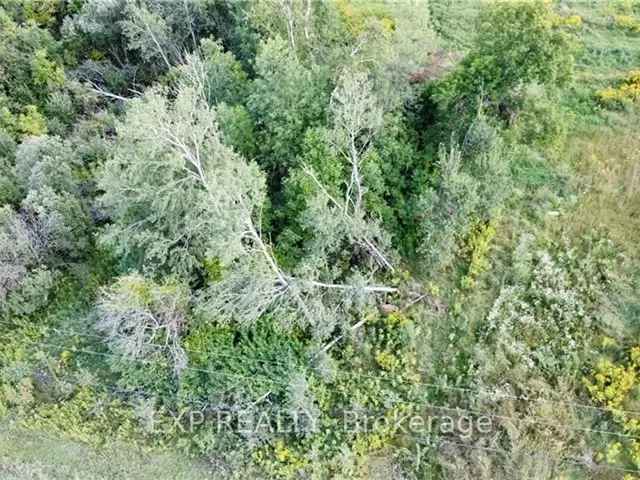 Recreational Lot with Creek Access Near Trails