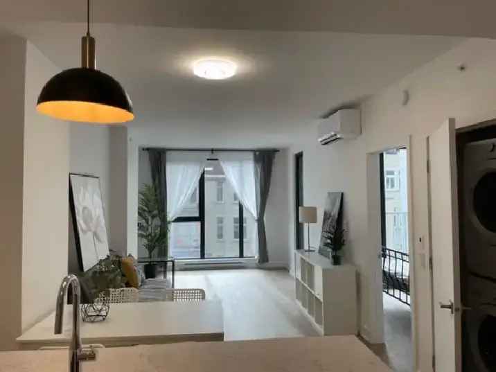 New 1 bedroom condo near Metro station St-Laurent & Beaudry