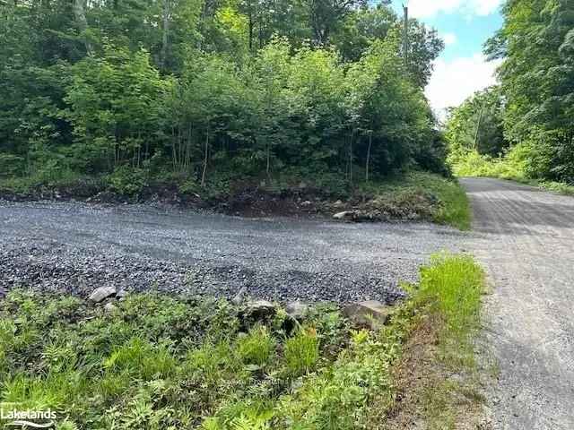 Well Treed Lot - Rural Setting with Town Convenience