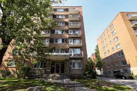 1 room apartment of 57 m² in Montreal