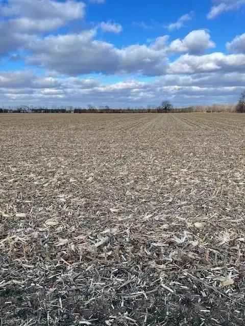 44 Acre Thamesville Farmland - Prime Cropland with River Frontage