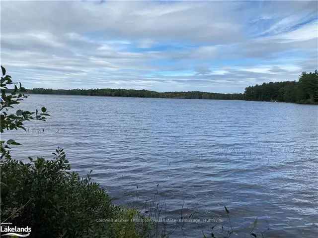 Healey Lake Waterfront Lot 2 Acres 115 Feet Shoreline