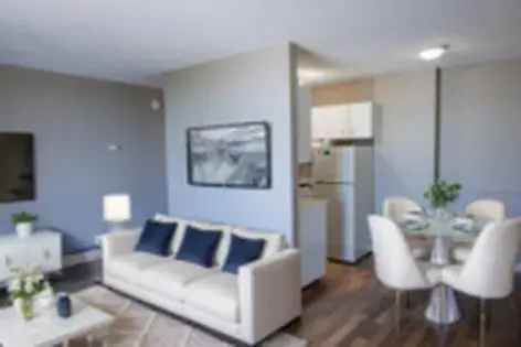 1 room apartment of 46 m² in Calgary