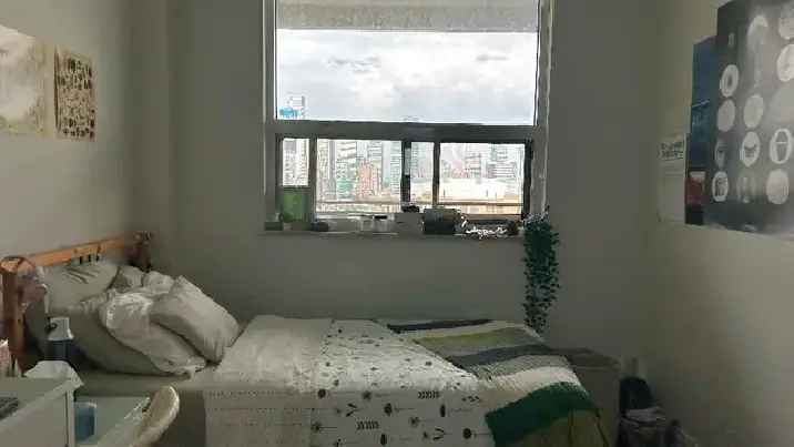 Furnished Private Room for Rent in Downtown Toronto