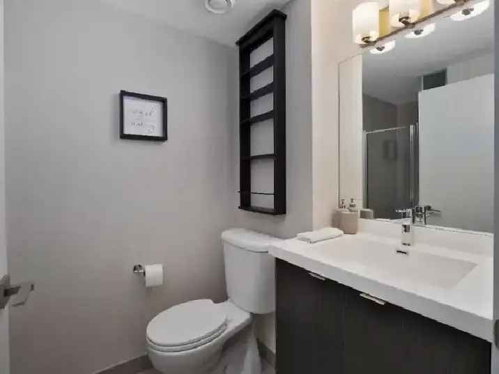 Furnished 1 BR Condo Downtown Toronto - Alter Building