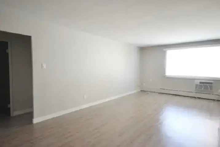 Bright and renovated 1-bedroom in Osborne Village!