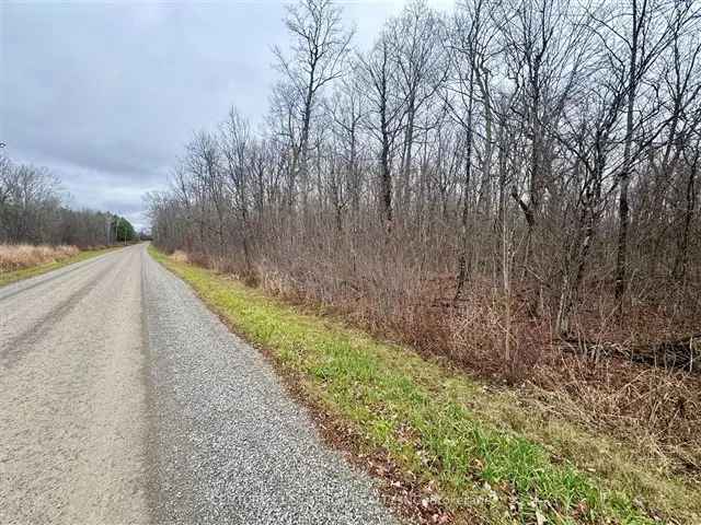 22-Acre Treed Lot with Adjacent 3-Acre Parcel - Ideal for Custom Home or Hobby Farm