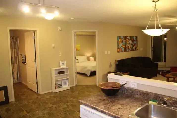 Fully Furnished Downtown Condo w/ Parking