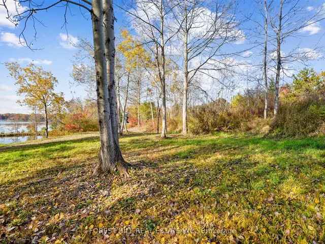 Chemong Lake Waterfront Lot 3 4 Acre Build Your Dream Home