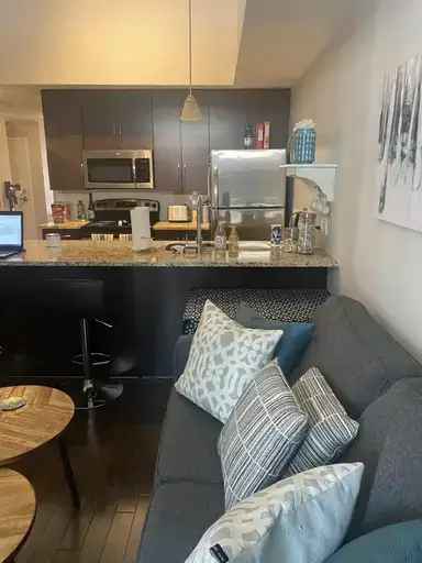 Rent Top Floor 1 Bed Plus Den Apartment in Ottawa with Private Balcony