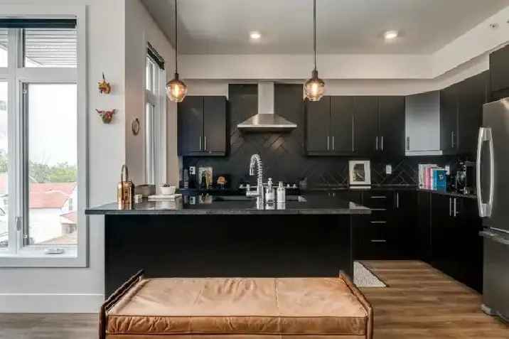 Hintonburg-Large, Modern, 3 Bed/2 Bath With Natural Light-Feb 1