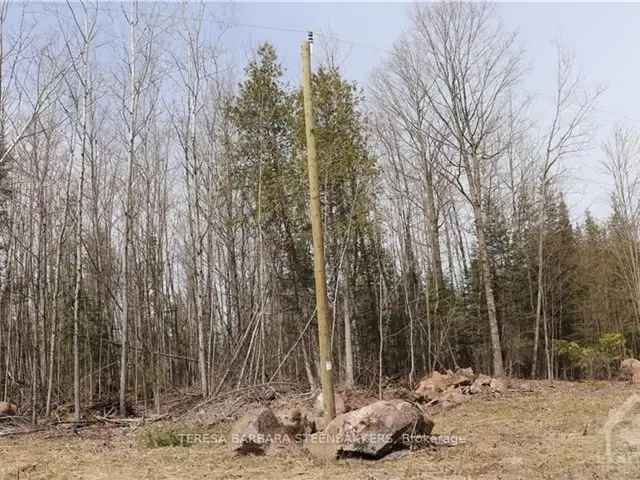 Land For Sale in Greater Madawaska, Ontario