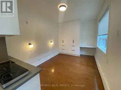 Newly Renovated 325m² Studio Apartment in High Park Toronto