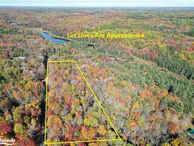 Serene 3.68-Acre Building Lot in Haliburton County