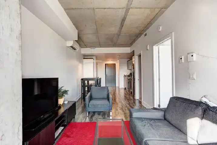 E- GALLERY  sur le Canal - FULLY FURNISHED -1 bed, gym,Balcony