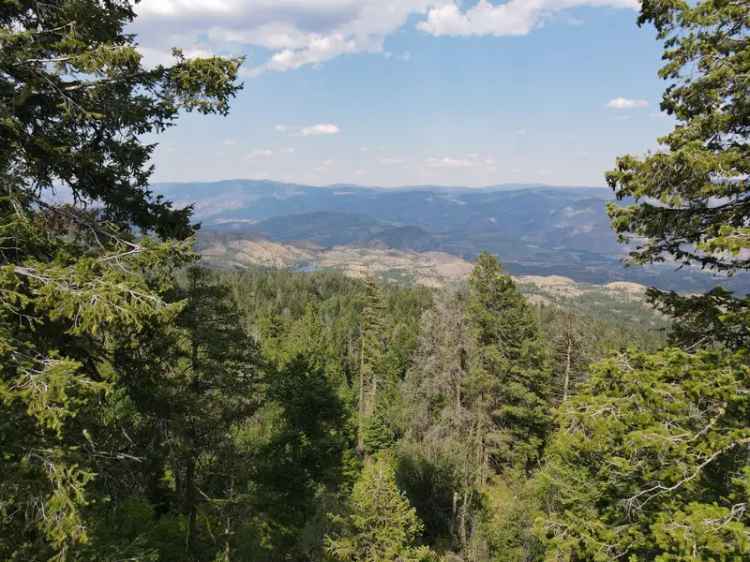 Affordable Okanagan Recreational Acreage with Big Views - Oliver, BC