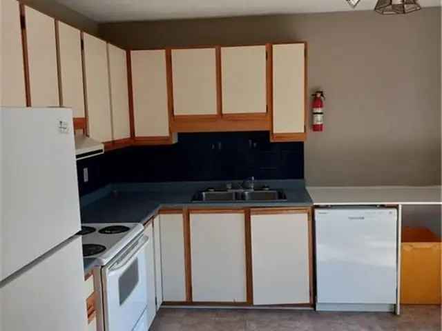 3 1 Bedroom Townhome Near Algonquin College Great Investment